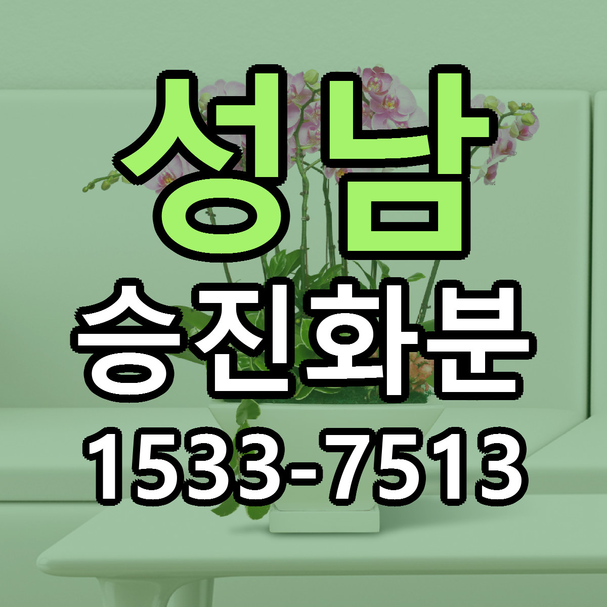 성남 승진화분 당일배송 리본문구 빠른배송 서비스