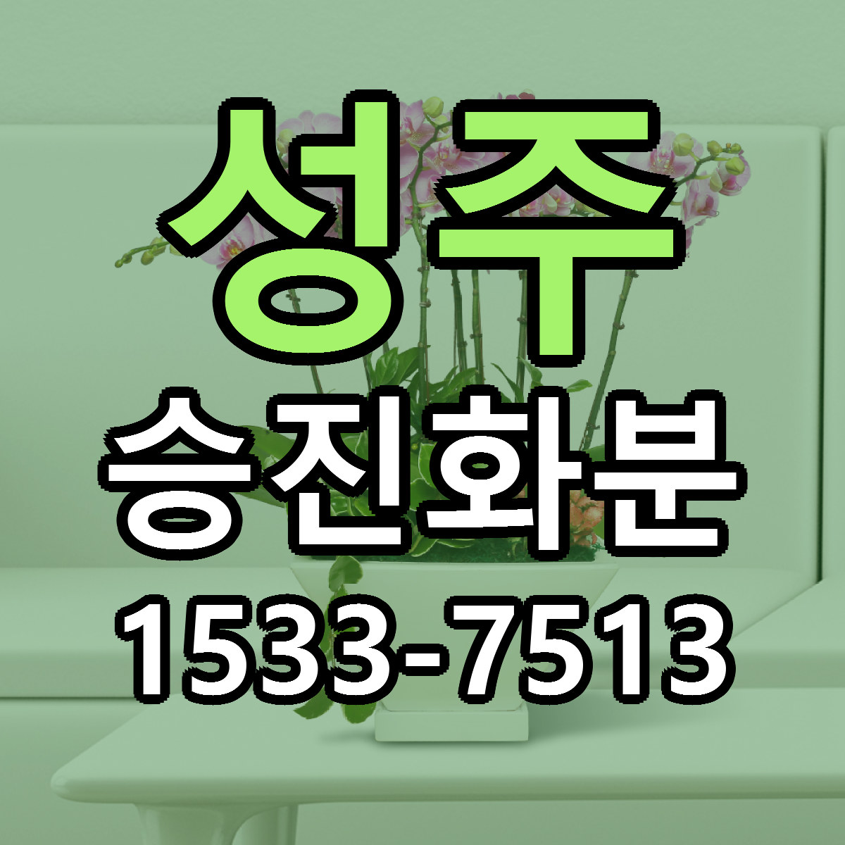 성주 승진화분 저렴한곳 당일배송 가격 만족