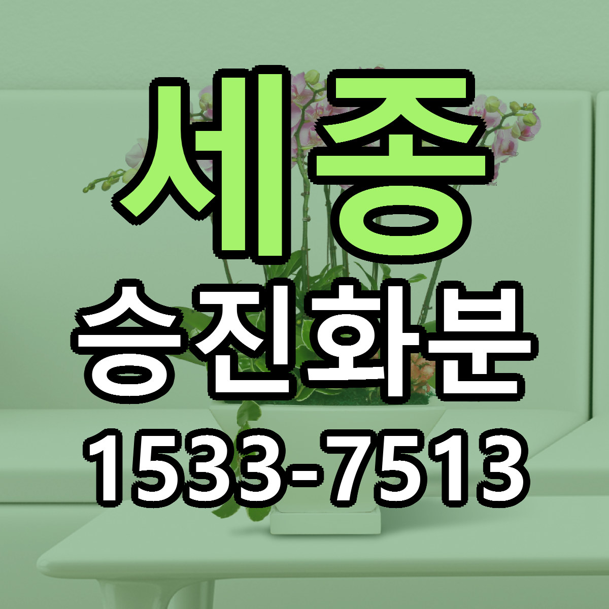 세종 승진화분 당일배송 근처꽃집 싼곳 비교