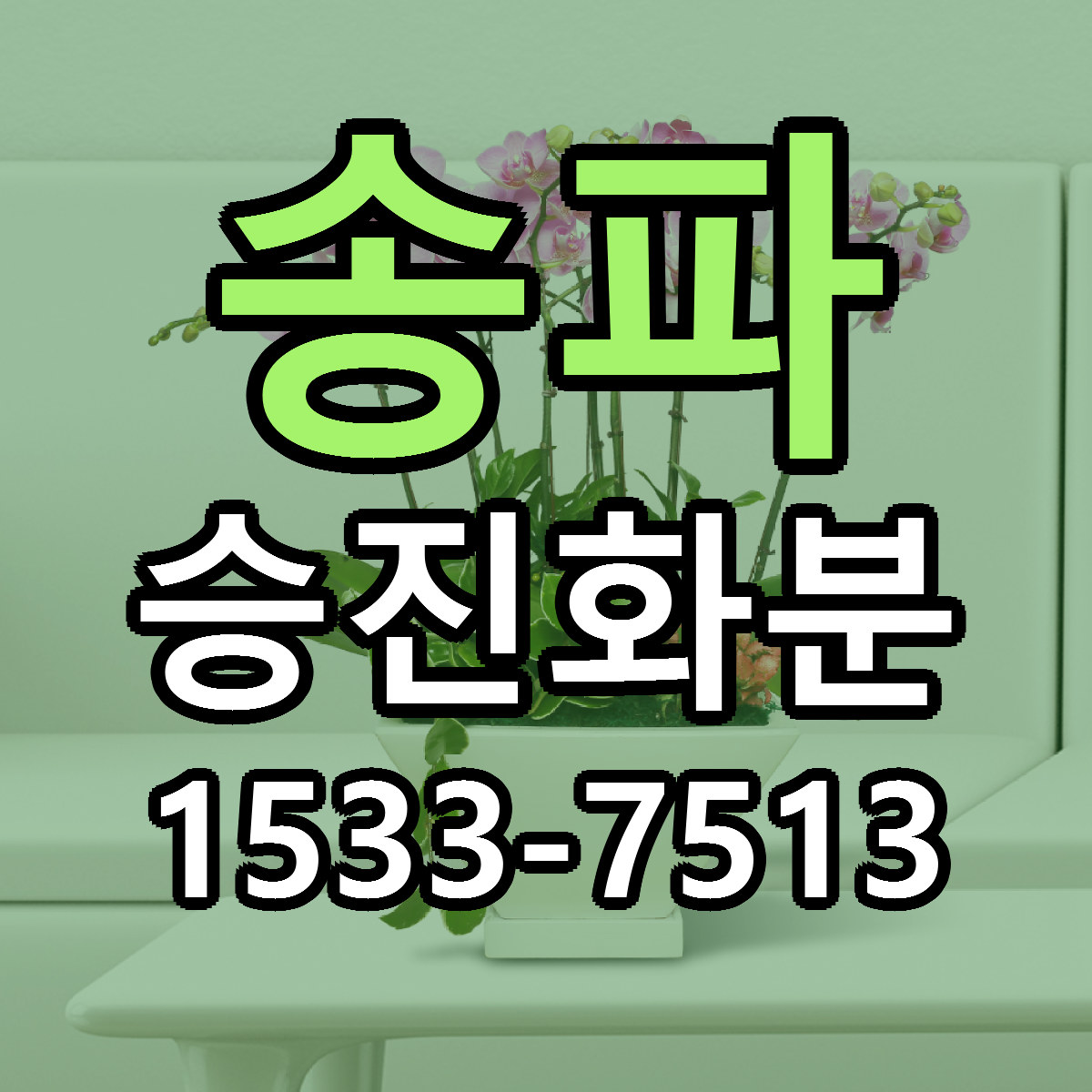 송파 승진화분 당일배송 가격 저렴한곳 추천