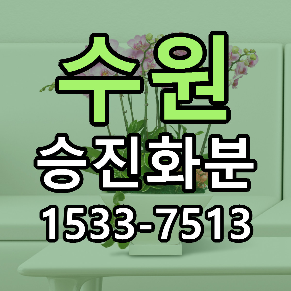 수원 승진화분 가격 만족 저렴한곳 리본문구 작성