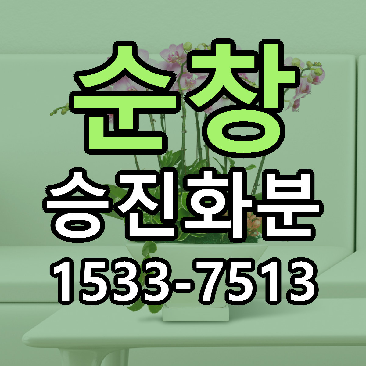순창 승진화분 당일배송 가격 저렴한곳 추천