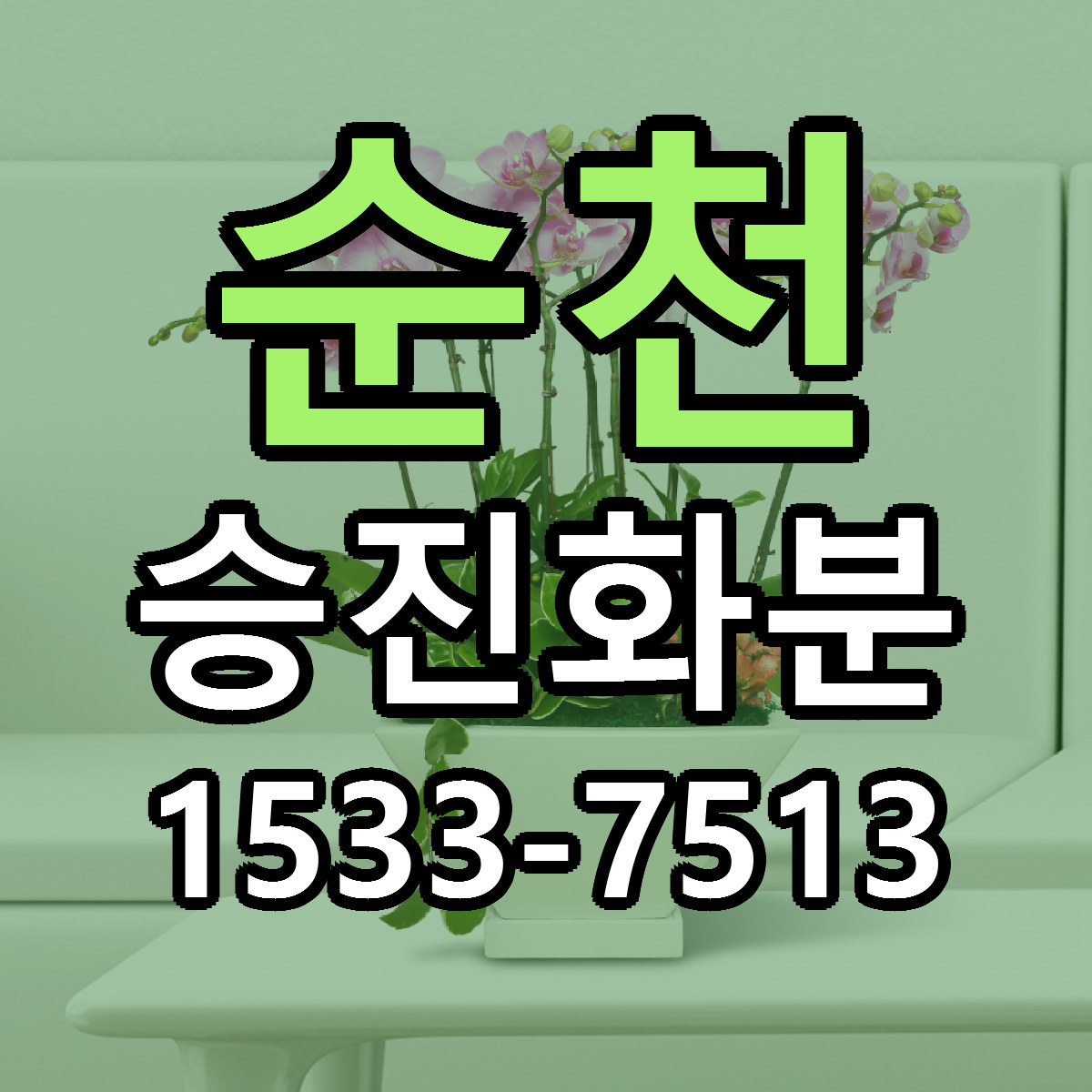 순천 승진화분 리본문구 서비스 저렴한곳 빠른배송