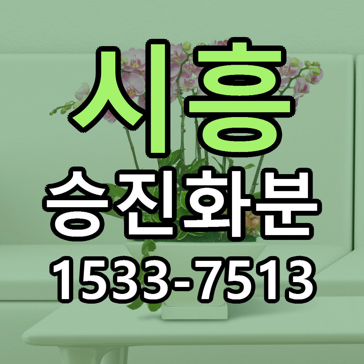 시흥 승진화분 당일배송 빠른배송 싼곳 찾기