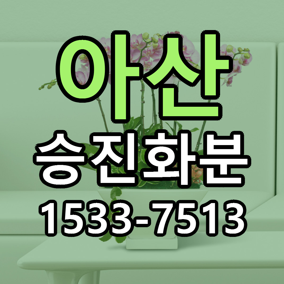 아산 승진화분 빠른배송 근처꽃집 가격 비교