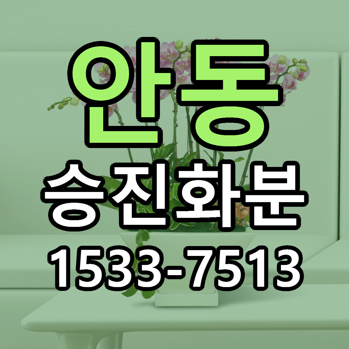 안동 승진화분 당일배송 리본문구 싼곳 찾기