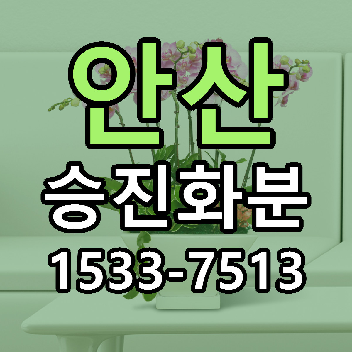 안산 승진화분 빠른배송 저렴한곳 가격 정리