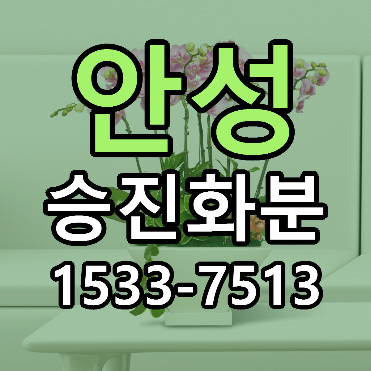 안성 승진화분 가격 착한 싼곳 당일배송 안내