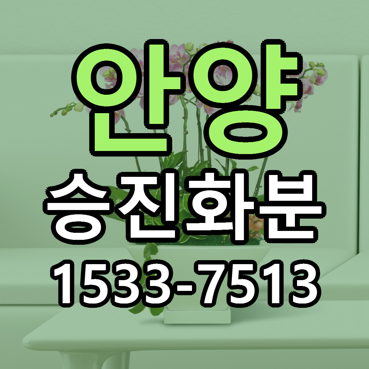 안양 승진화분 싼곳 당일배송 빠른배송 추천