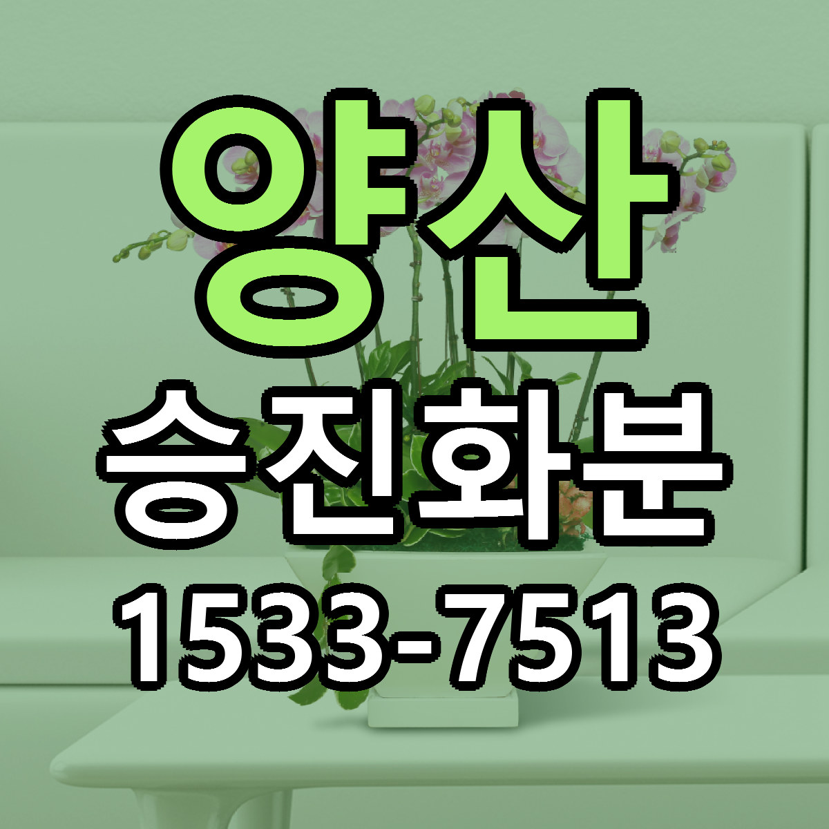 양산 승진화분 당일배송 싼곳 리본문구 안내