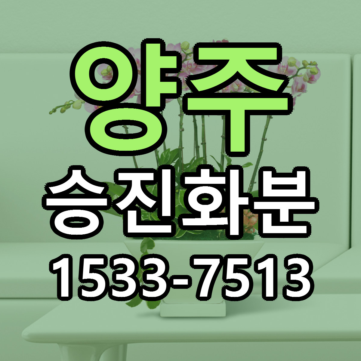 양주 승진화분 당일배송 빠른배송 싼곳 찾기