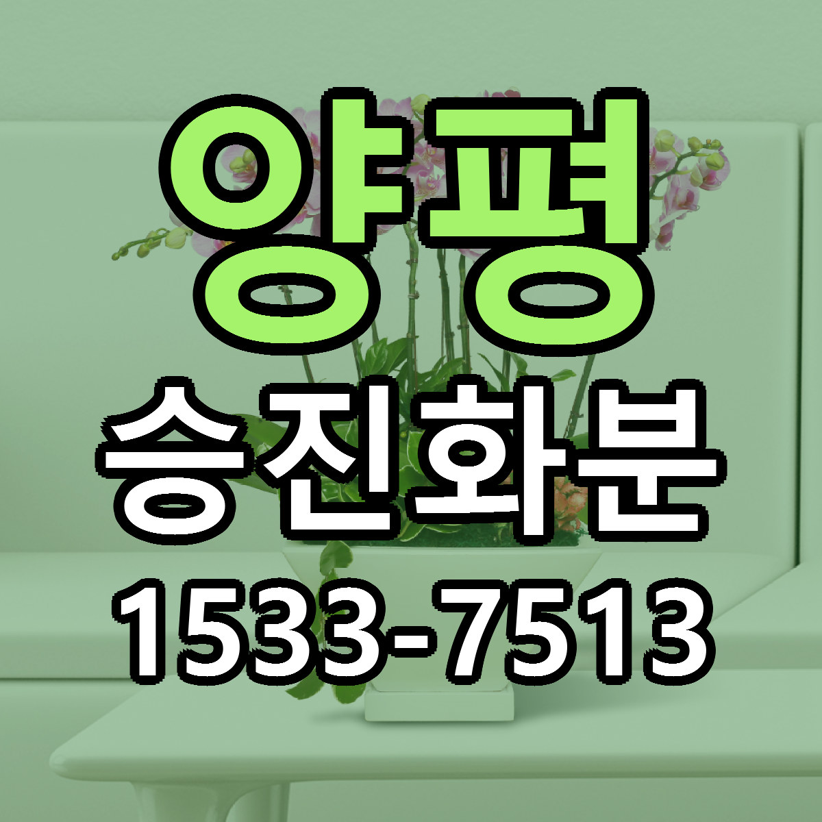 양평 승진화분 리본문구 서비스 저렴한곳 빠른배송