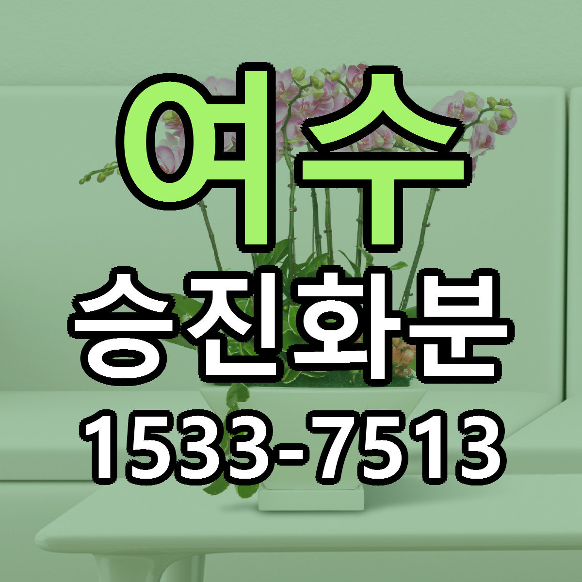 여수 승진화분 근처꽃집 빠른배송 가격 문의