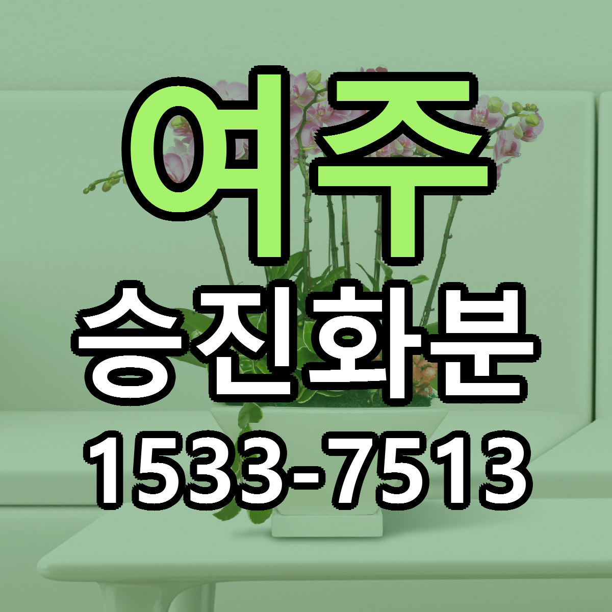 여주 승진화분 빠른배송 리본문구 근처꽃집 예약
