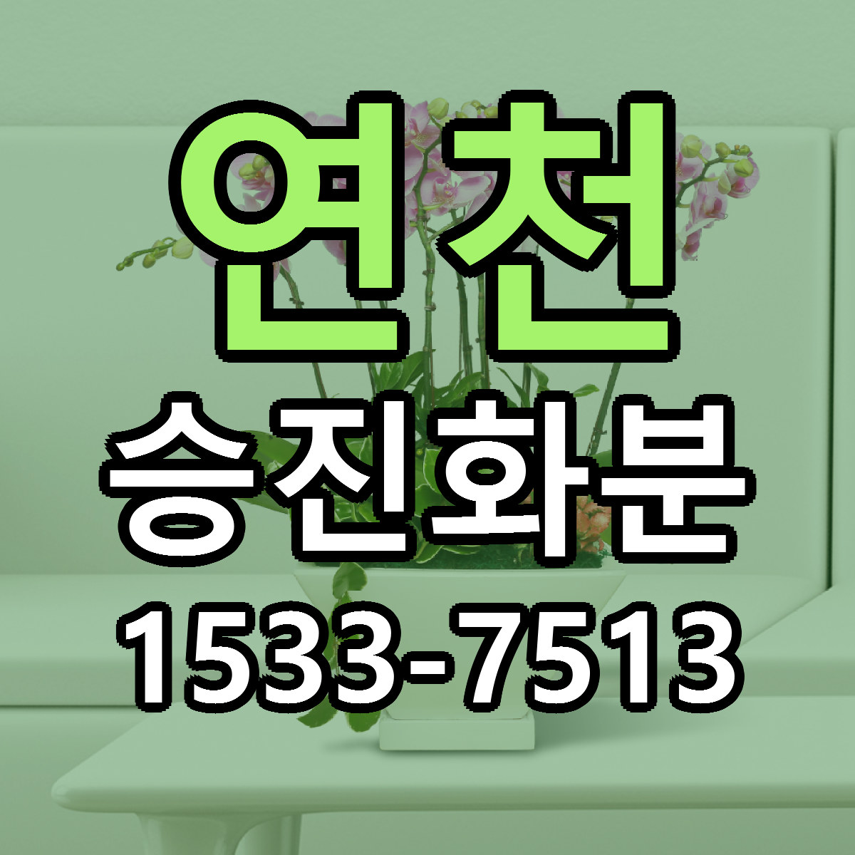 연천 승진화분 근처꽃집 저렴한곳 빠른배송 서비스