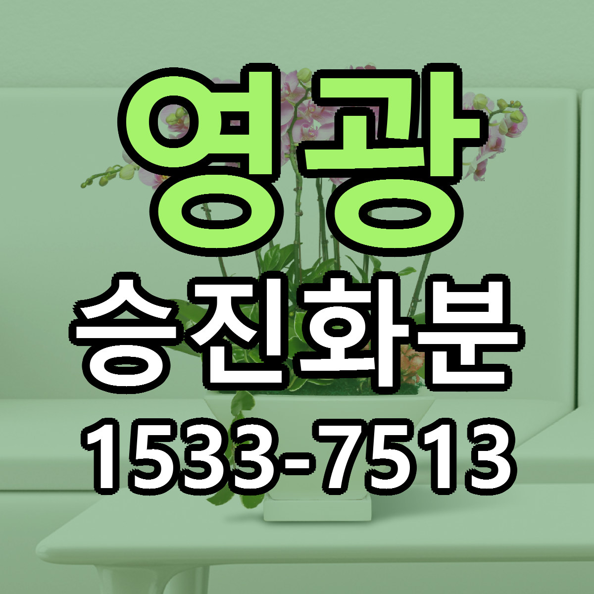 영광 승진화분 가격 만족 저렴한곳 리본문구 작성
