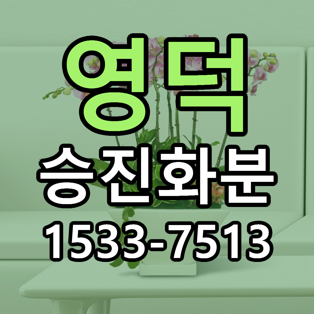 영덕 승진화분 리본문구 근처꽃집 저렴한곳 예약