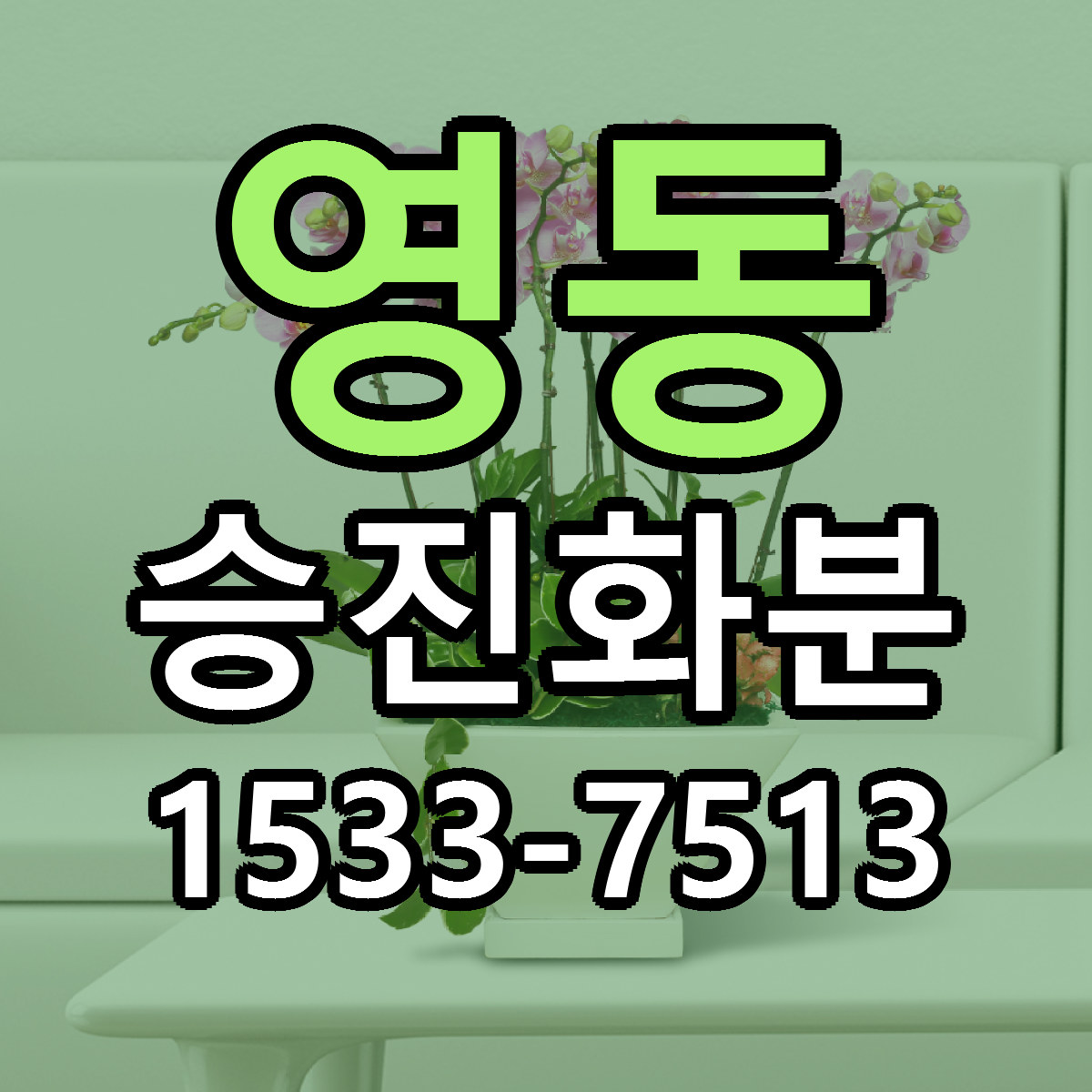 영동 승진화분 싼곳 빠른배송 리본문구 무료