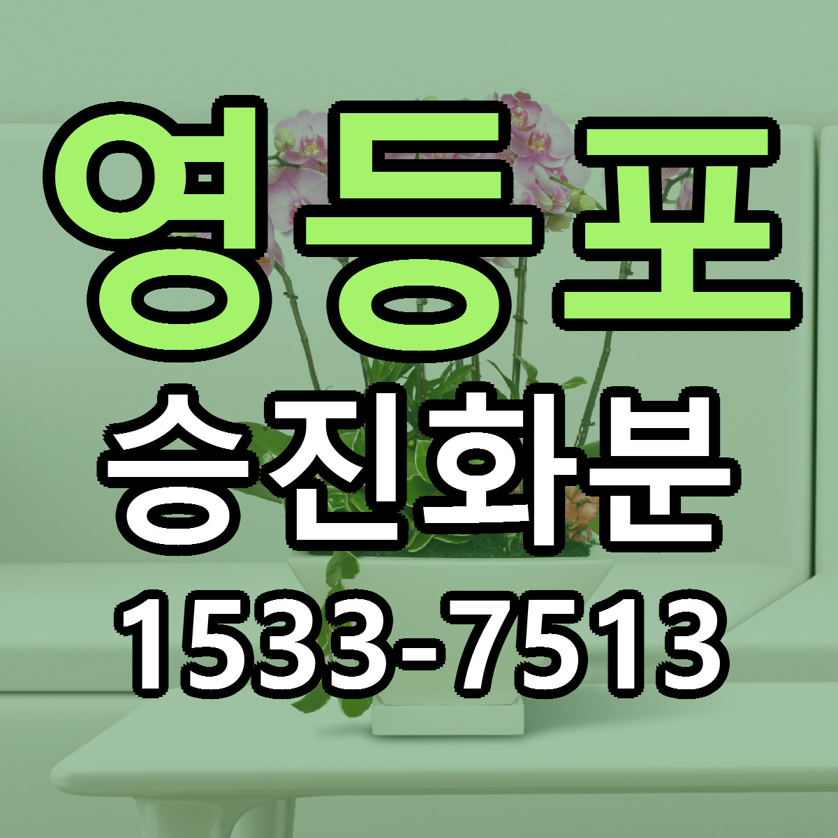 영등포 승진화분 싼곳 빠른배송 리본문구 무료