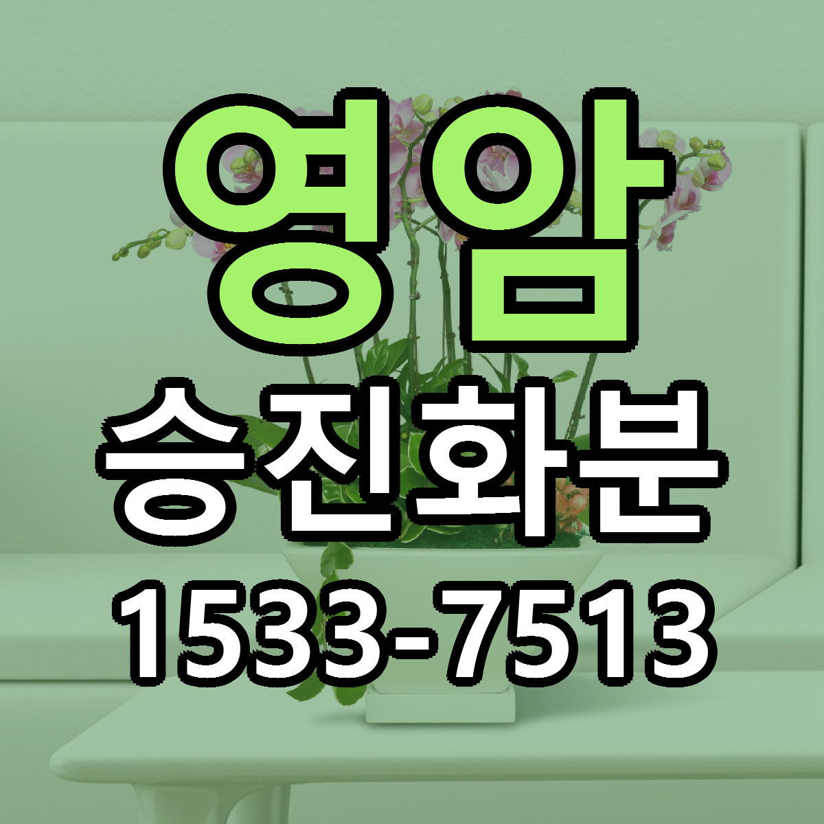 영암 승진화분 당일배송 빠른배송 싼곳 찾기