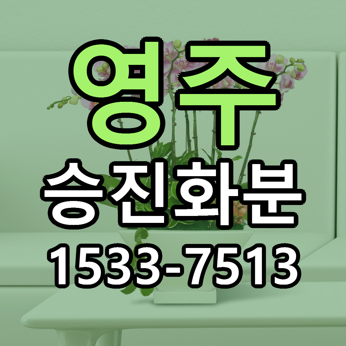영주 승진화분 당일배송 싼곳 리본문구 안내