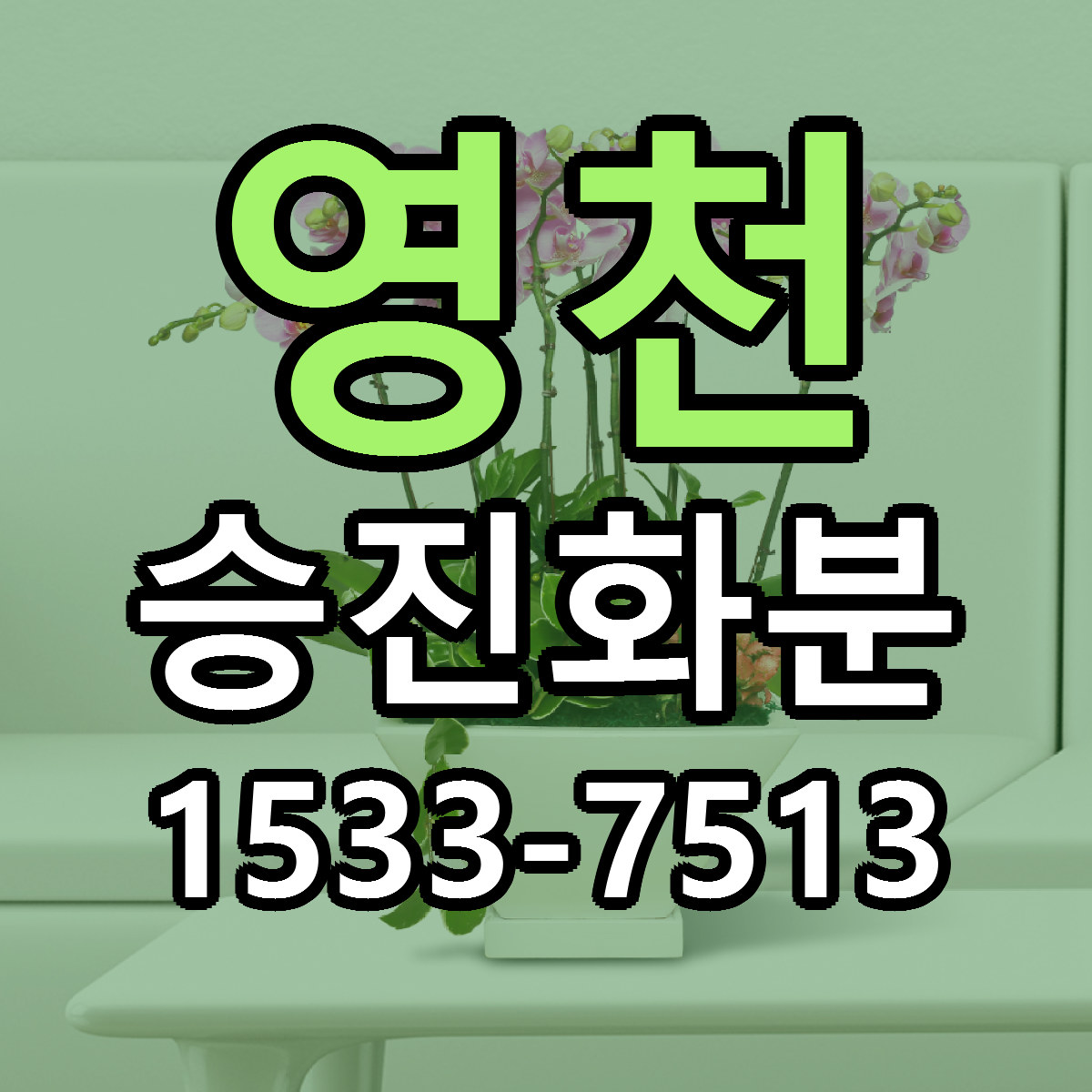 영천 승진화분 당일배송 저렴한곳 리본문구 추천