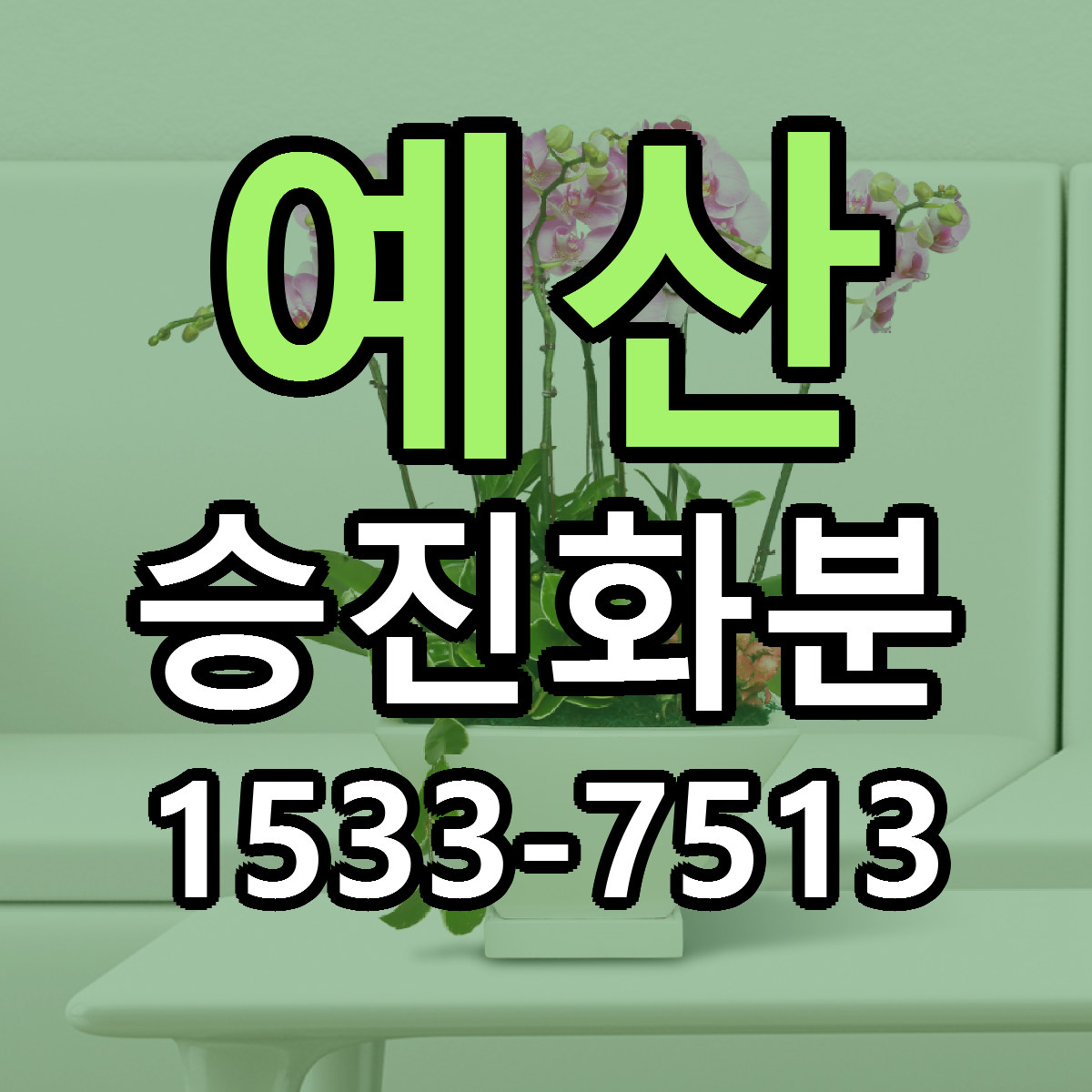 예산 승진화분 빠른배송 근처꽃집 가격 비교