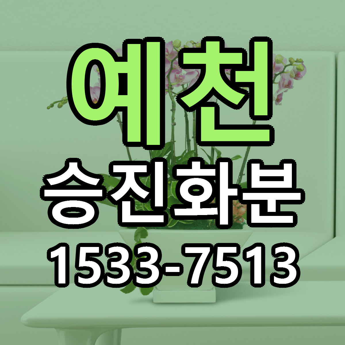 예천 승진화분 싼곳 빠른배송 리본문구 무료