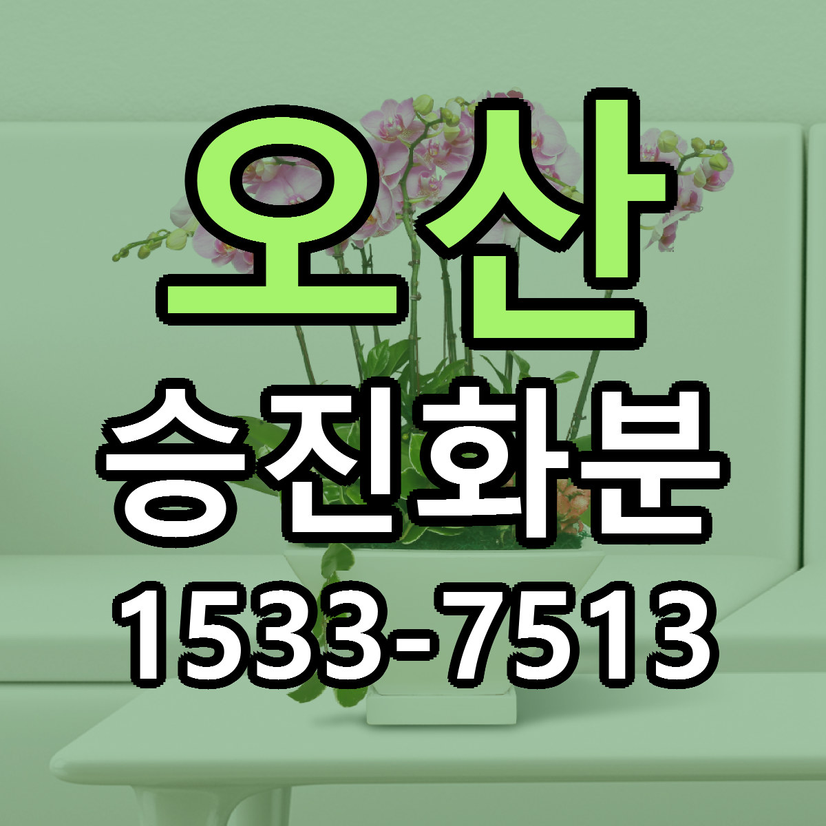 오산 승진화분 근처꽃집 저렴한곳 빠른배송 서비스