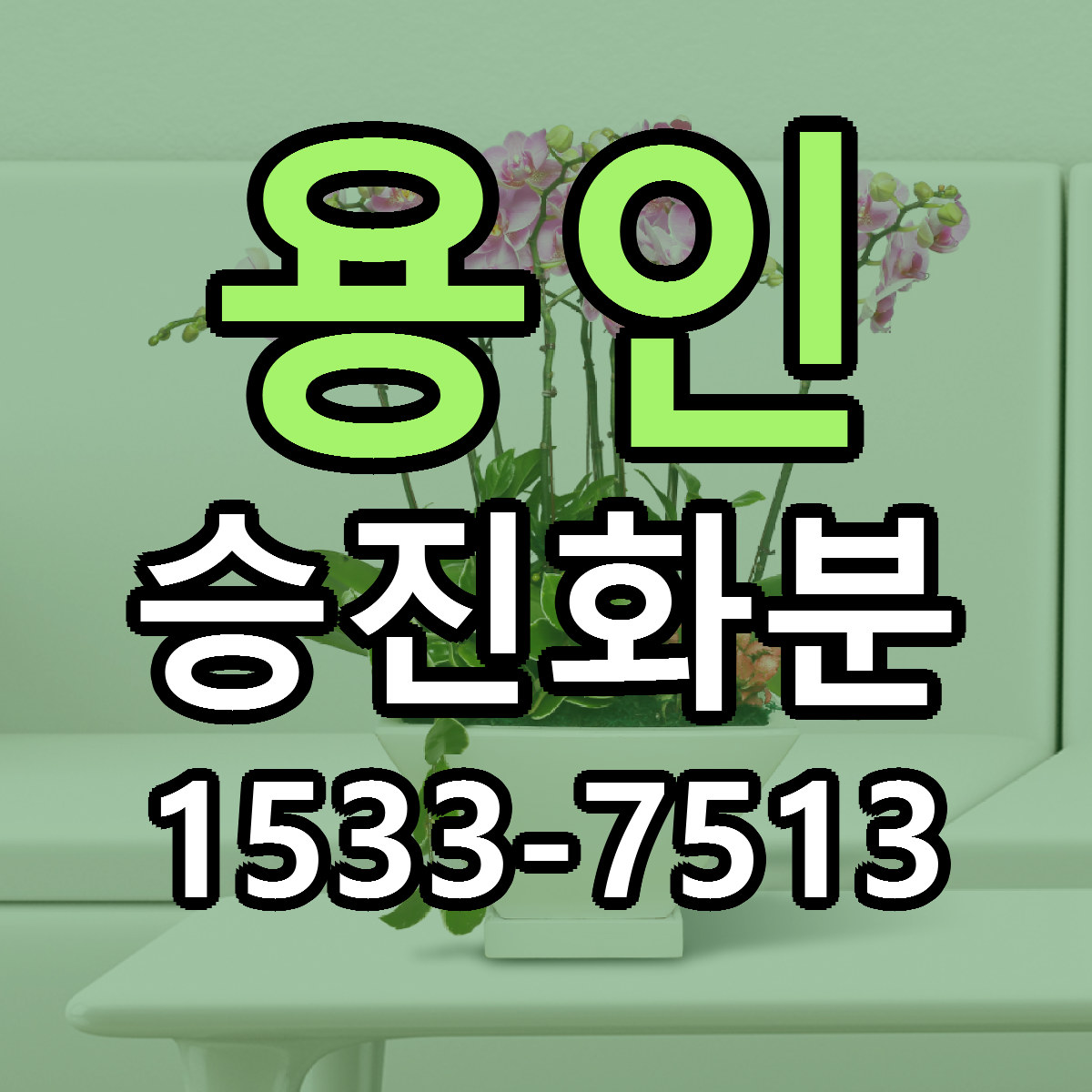 용인 승진화분 근처꽃집 당일배송 리본문구 서비스