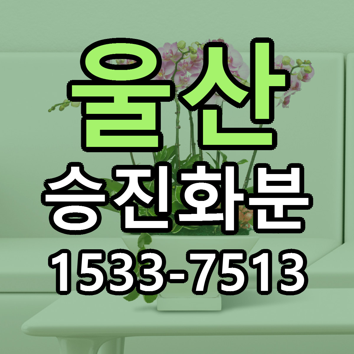 울산 승진화분 리본문구 근처꽃집 저렴한곳 예약