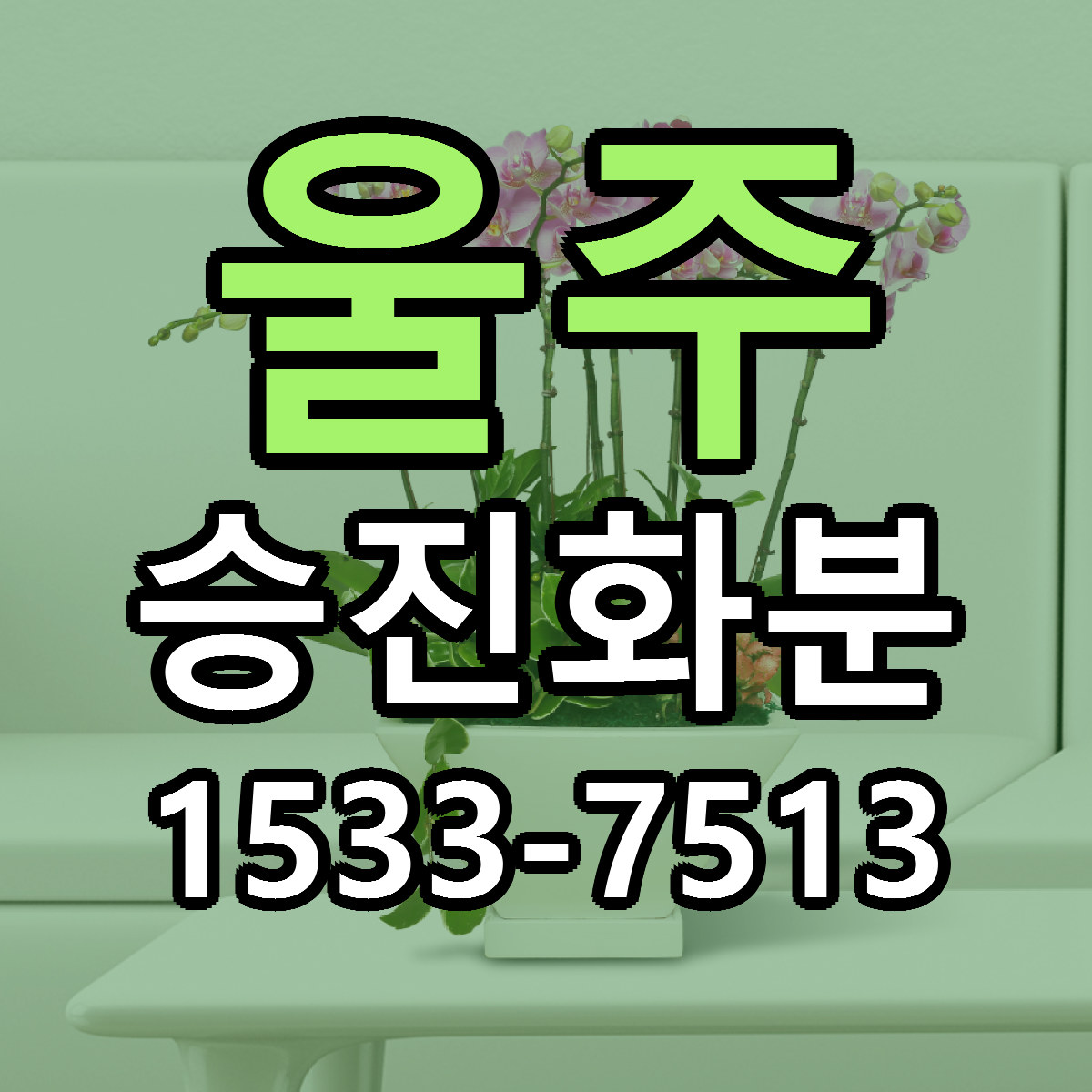 울주 승진화분 리본문구 싼곳 빠른배송 예약