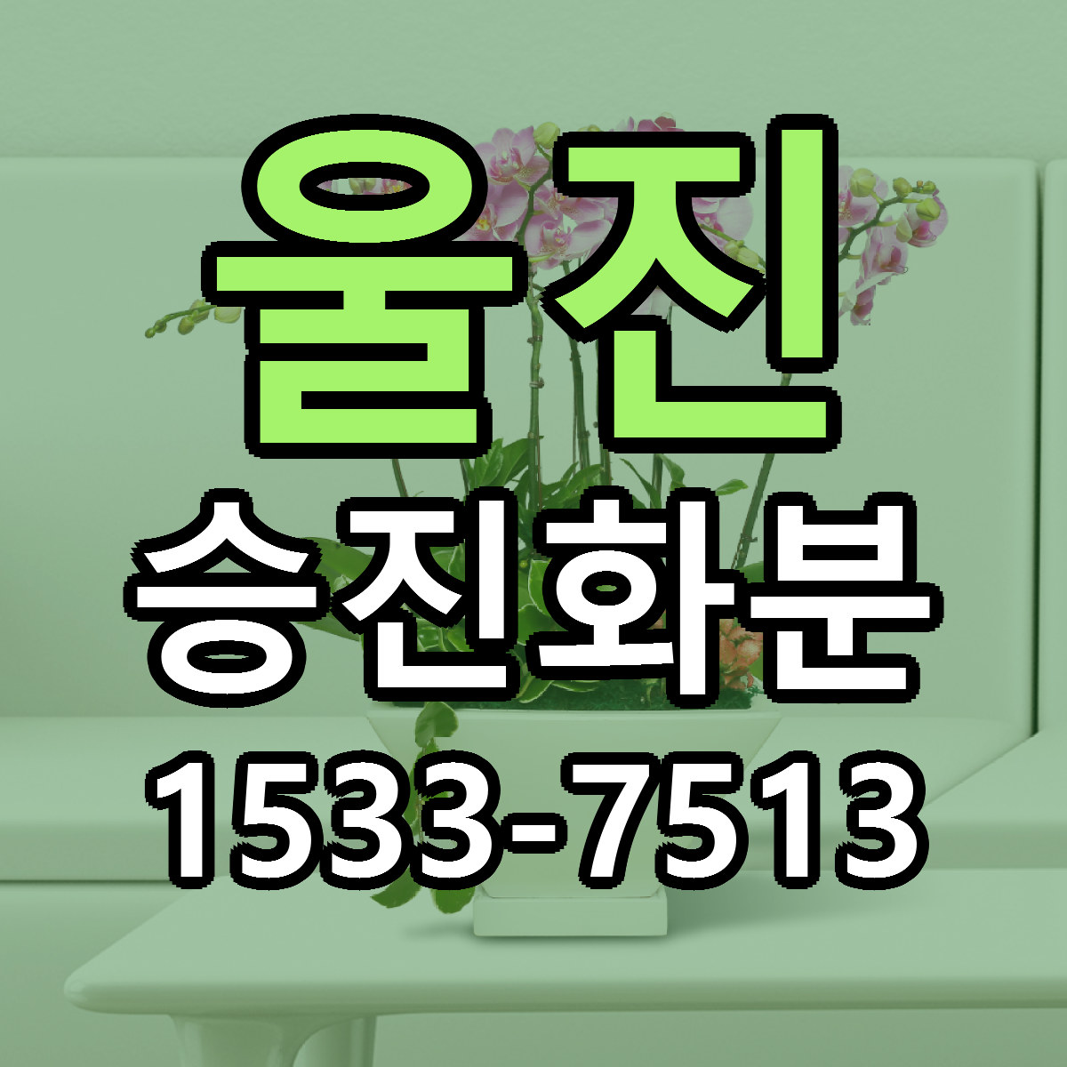 울진 승진화분 근처꽃집 싼곳 빠른배송 안내
