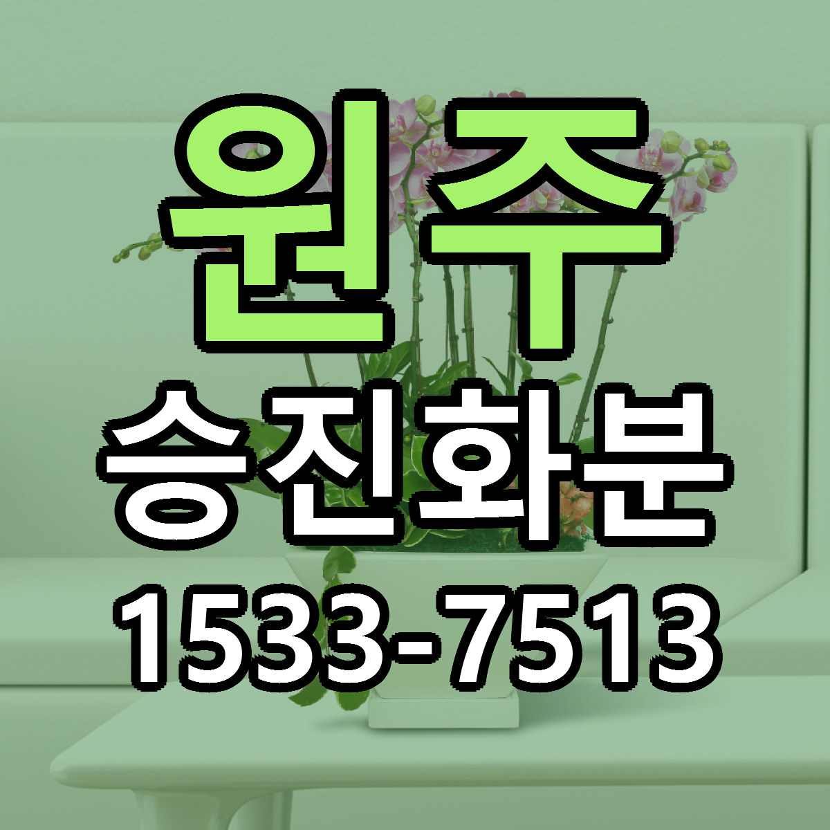 원주 승진화분 근처꽃집 저렴한곳 빠른배송 서비스