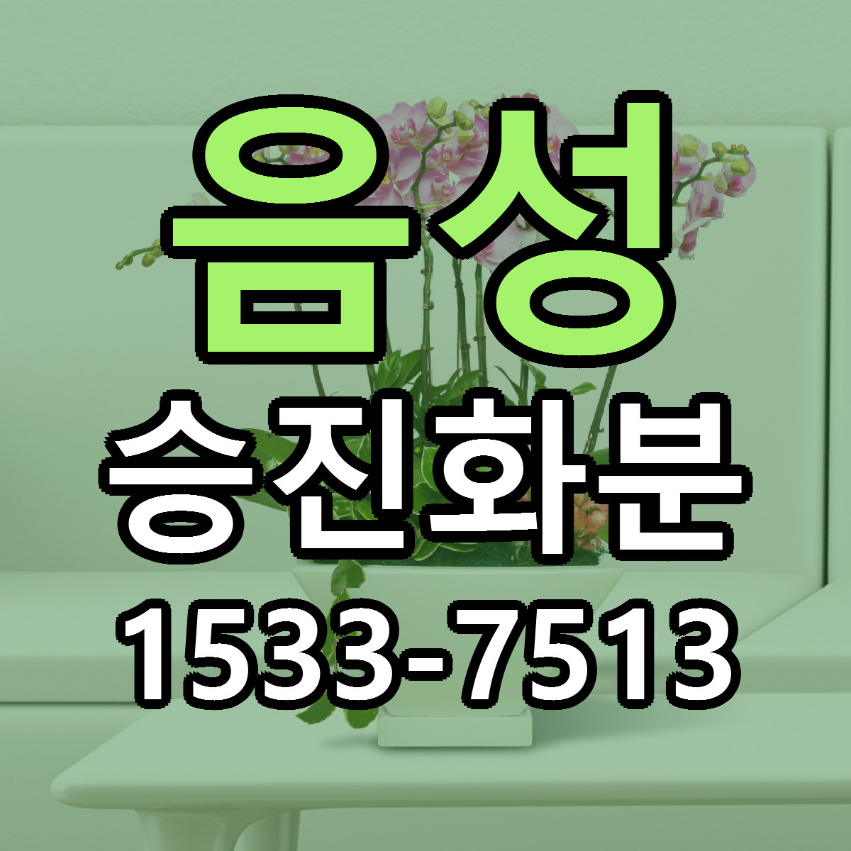 음성 승진화분 당일배송 근처꽃집 싼곳 비교