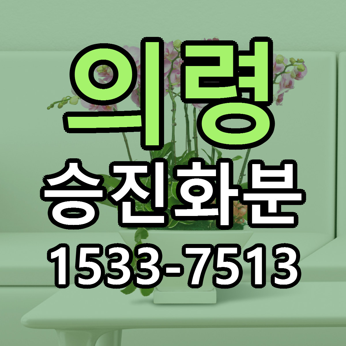 의령 승진화분 근처꽃집 당일배송 싼곳 추천