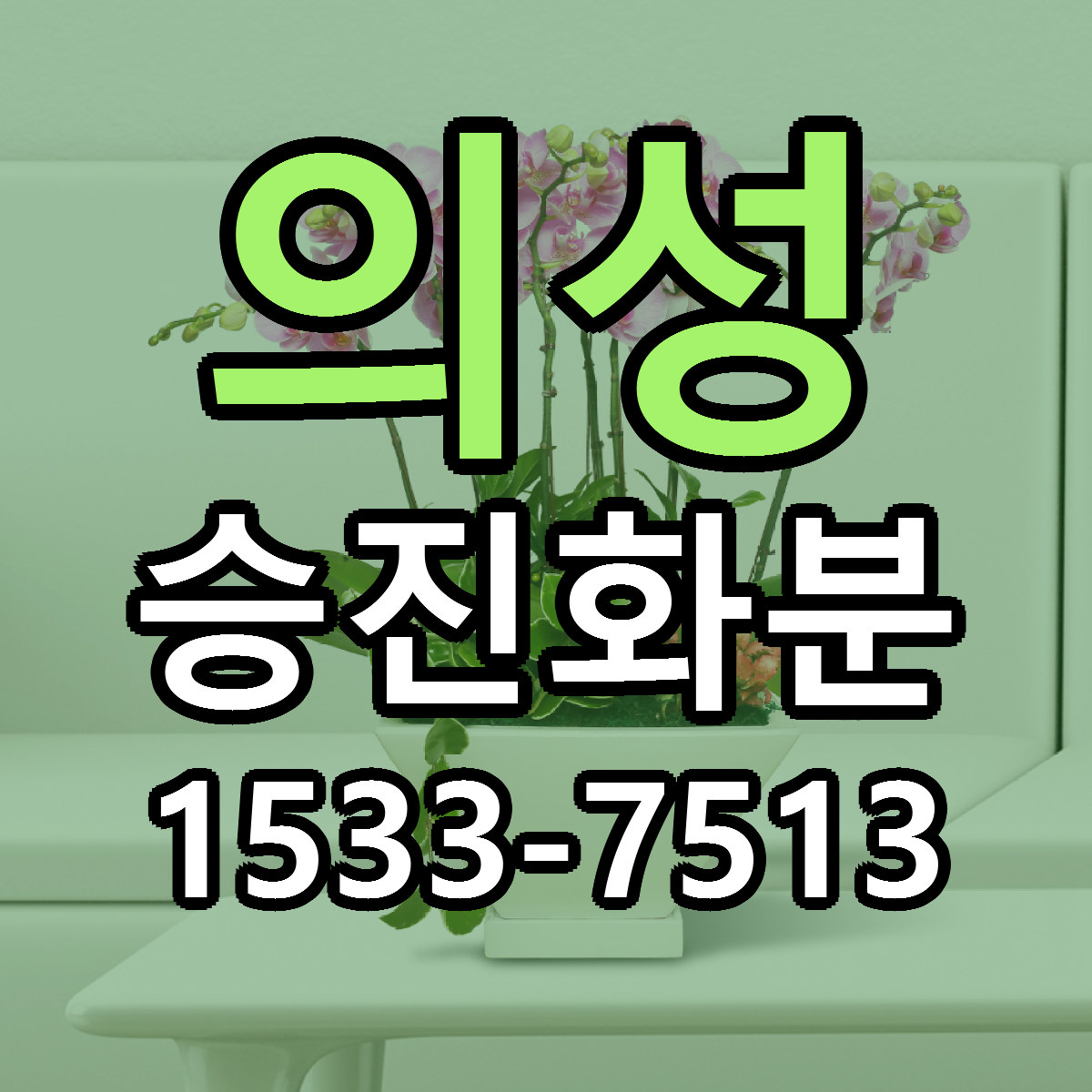 의성 승진화분 근처꽃집 당일배송 싼곳 추천