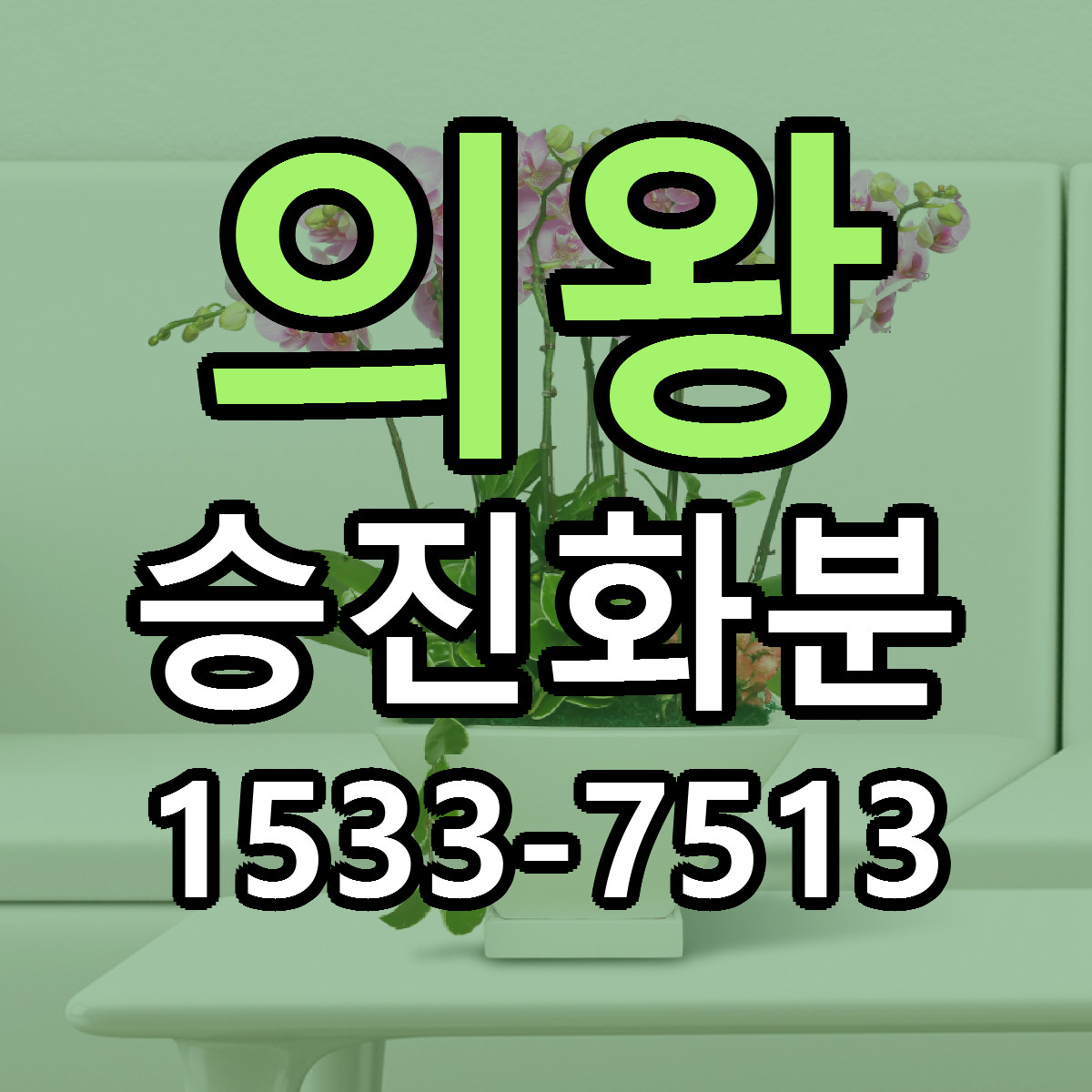 의왕 승진화분 싼곳 당일배송 빠른배송 추천