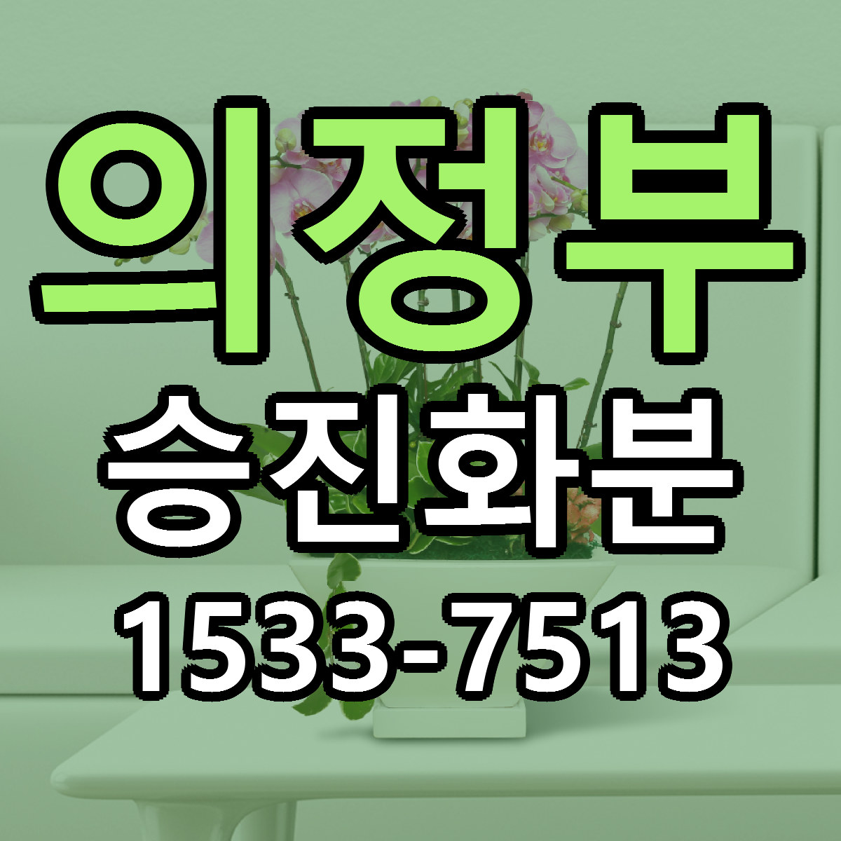 의정부 승진화분 저렴한곳 당일배송 가격 만족