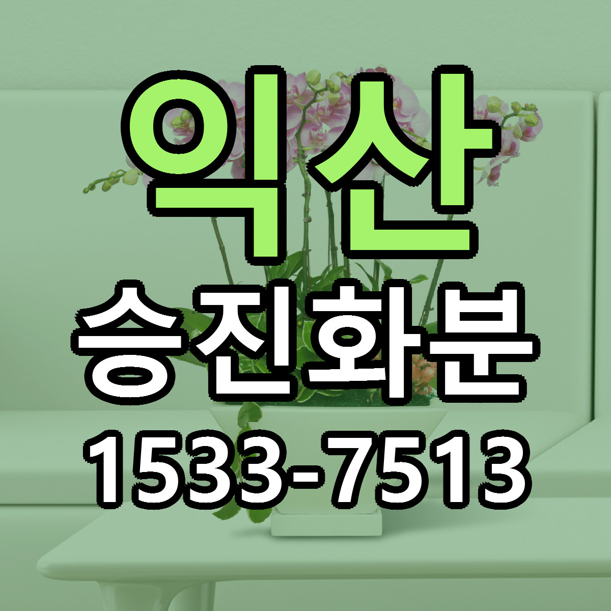 익산 승진화분 근처꽃집 당일배송 가격 안내