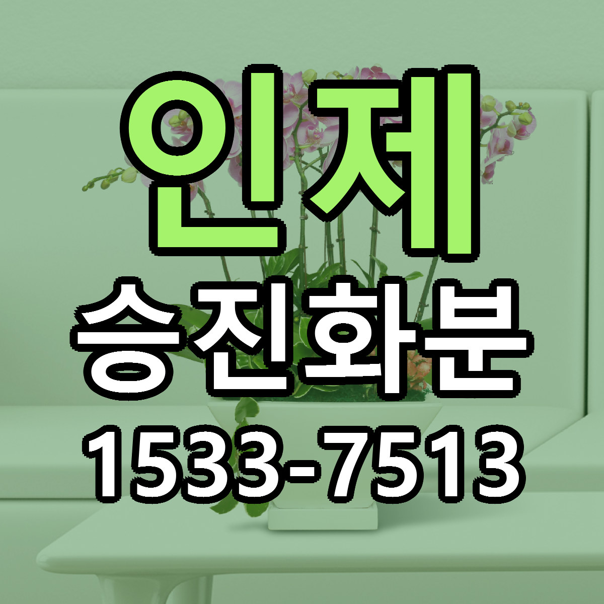 인제 승진화분 빠른배송 근처꽃집 가격 비교