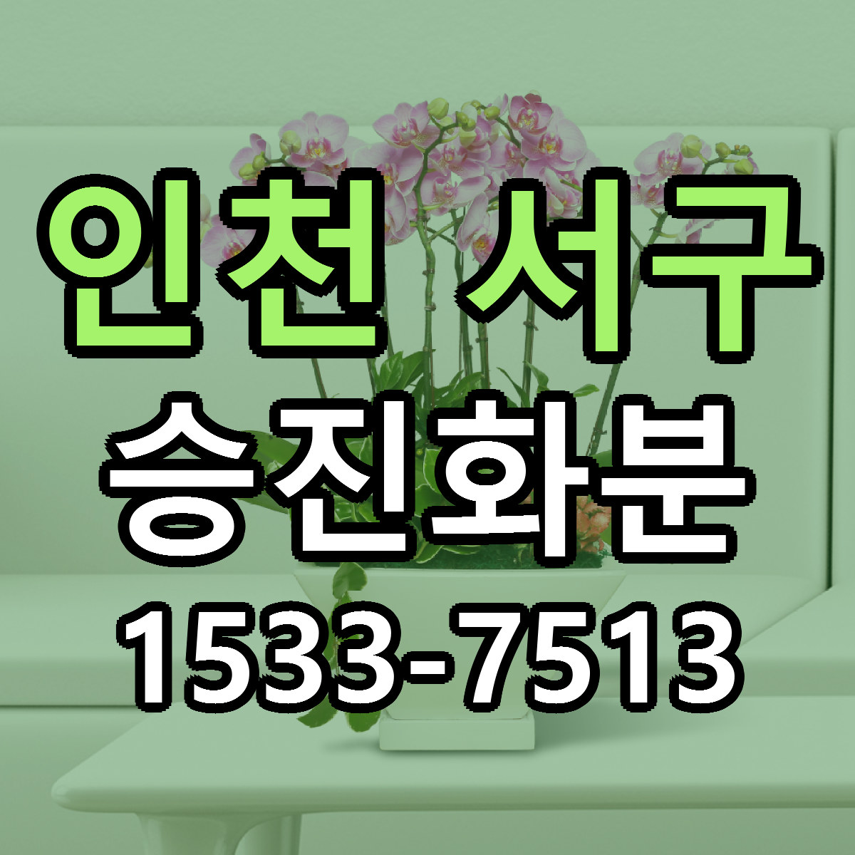 인천 서구 승진화분 빠른배송 싼곳 가격 문의