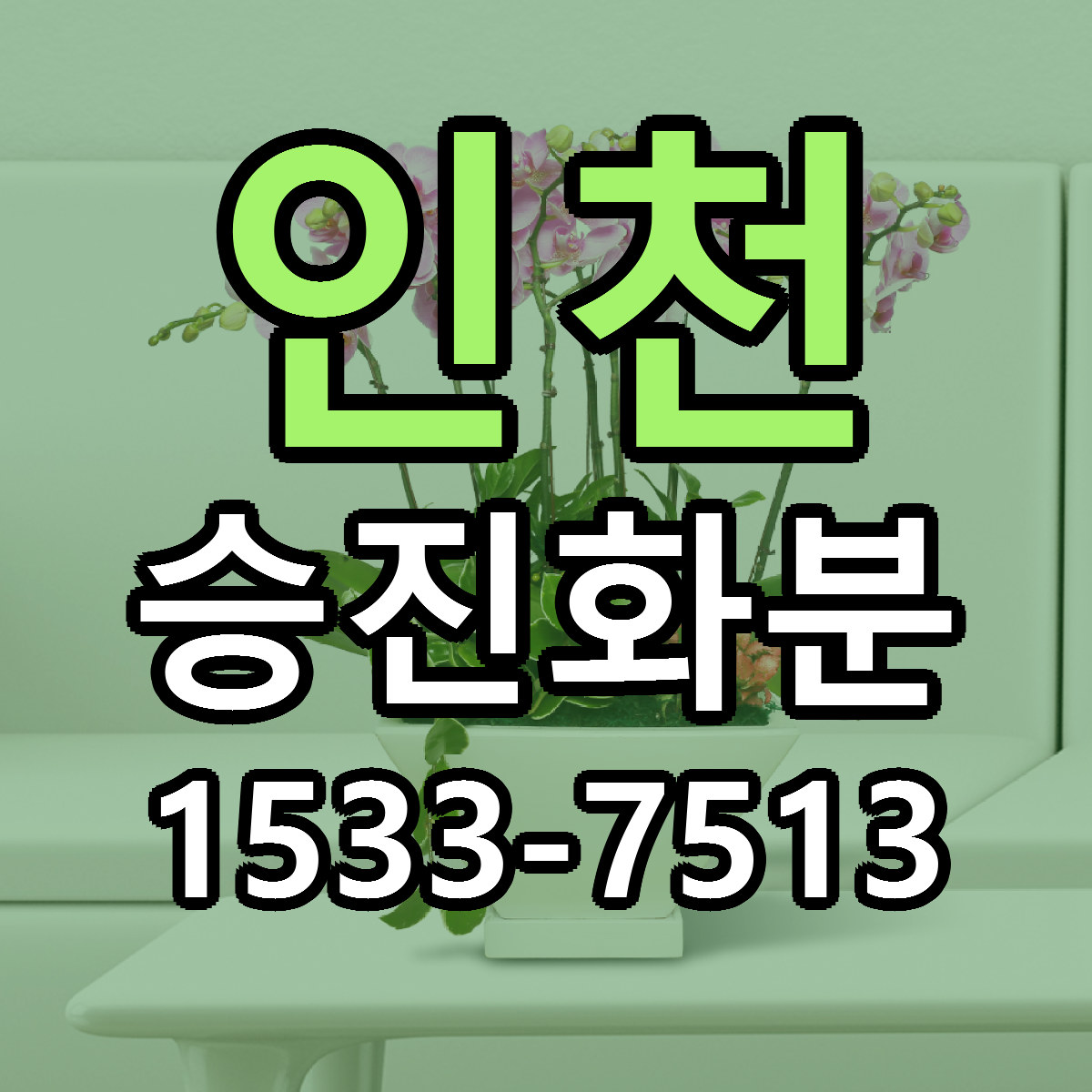 인천 승진화분 가격 만족 저렴한곳 리본문구 작성