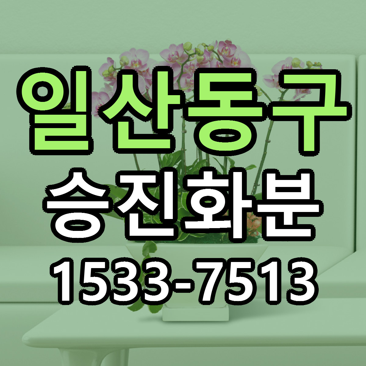 일산동구 승진화분 근처꽃집 당일배송 싼곳 추천