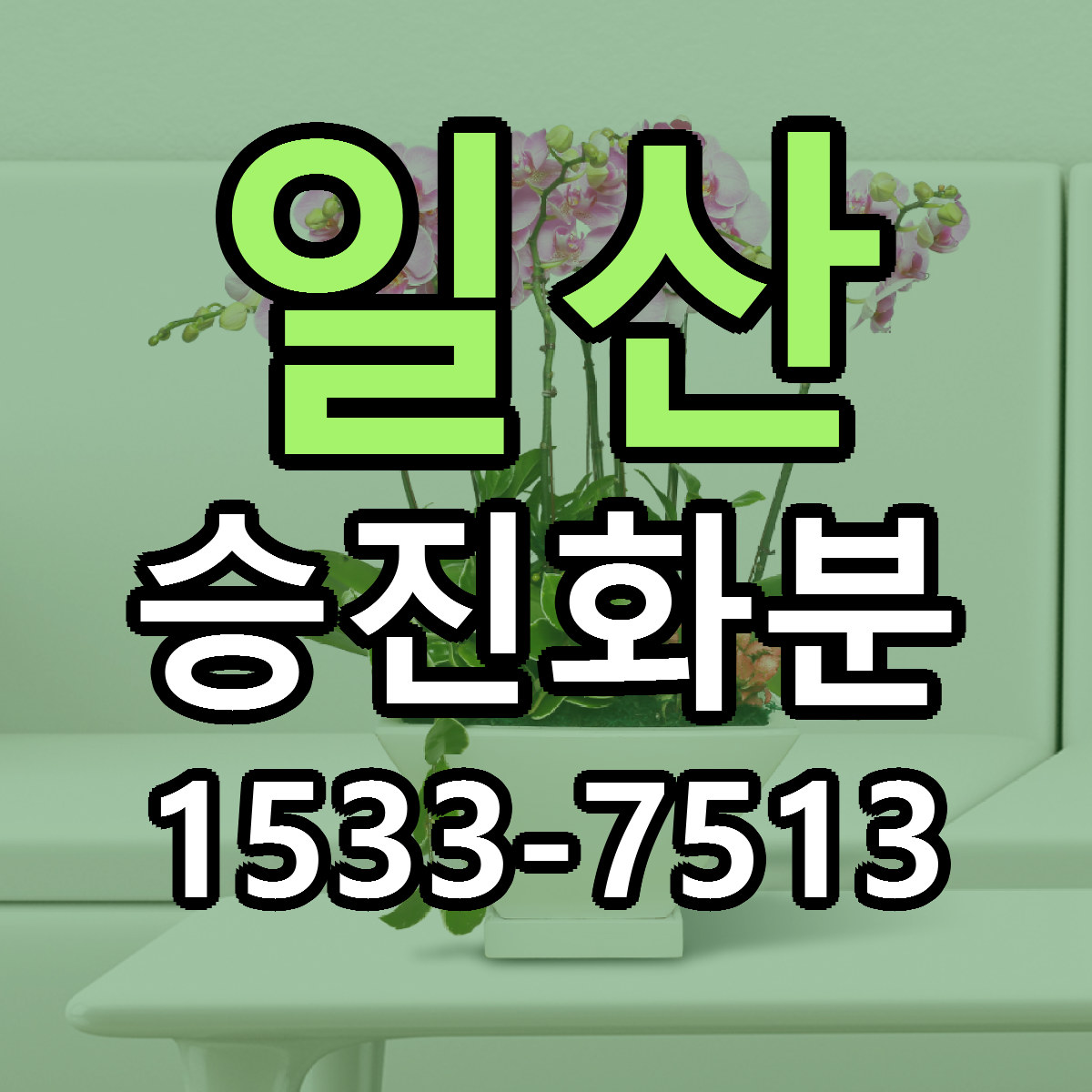 일산 승진화분 리본문구 근처꽃집 저렴한곳 예약