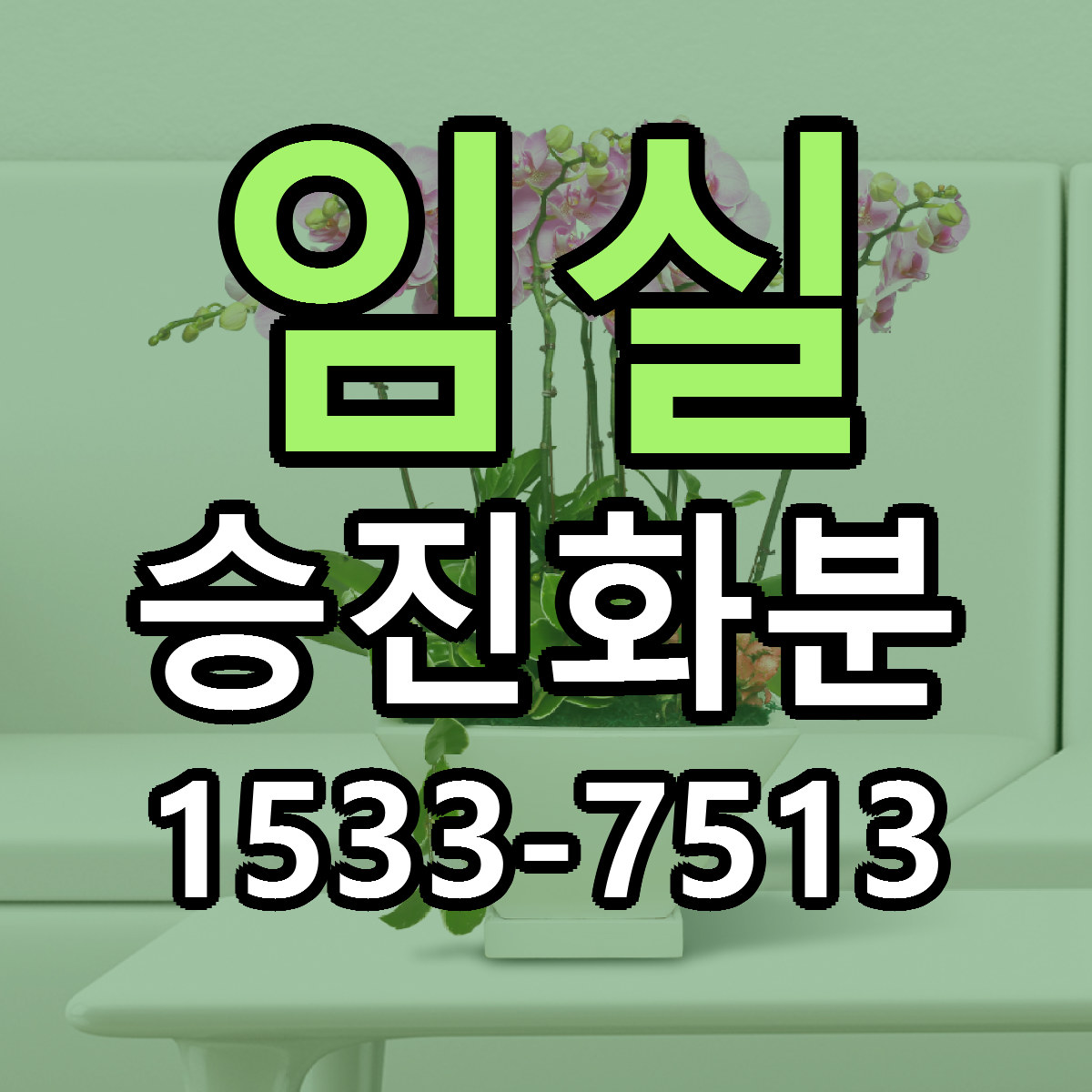 임실 승진화분 가격 만족 저렴한곳 리본문구 작성