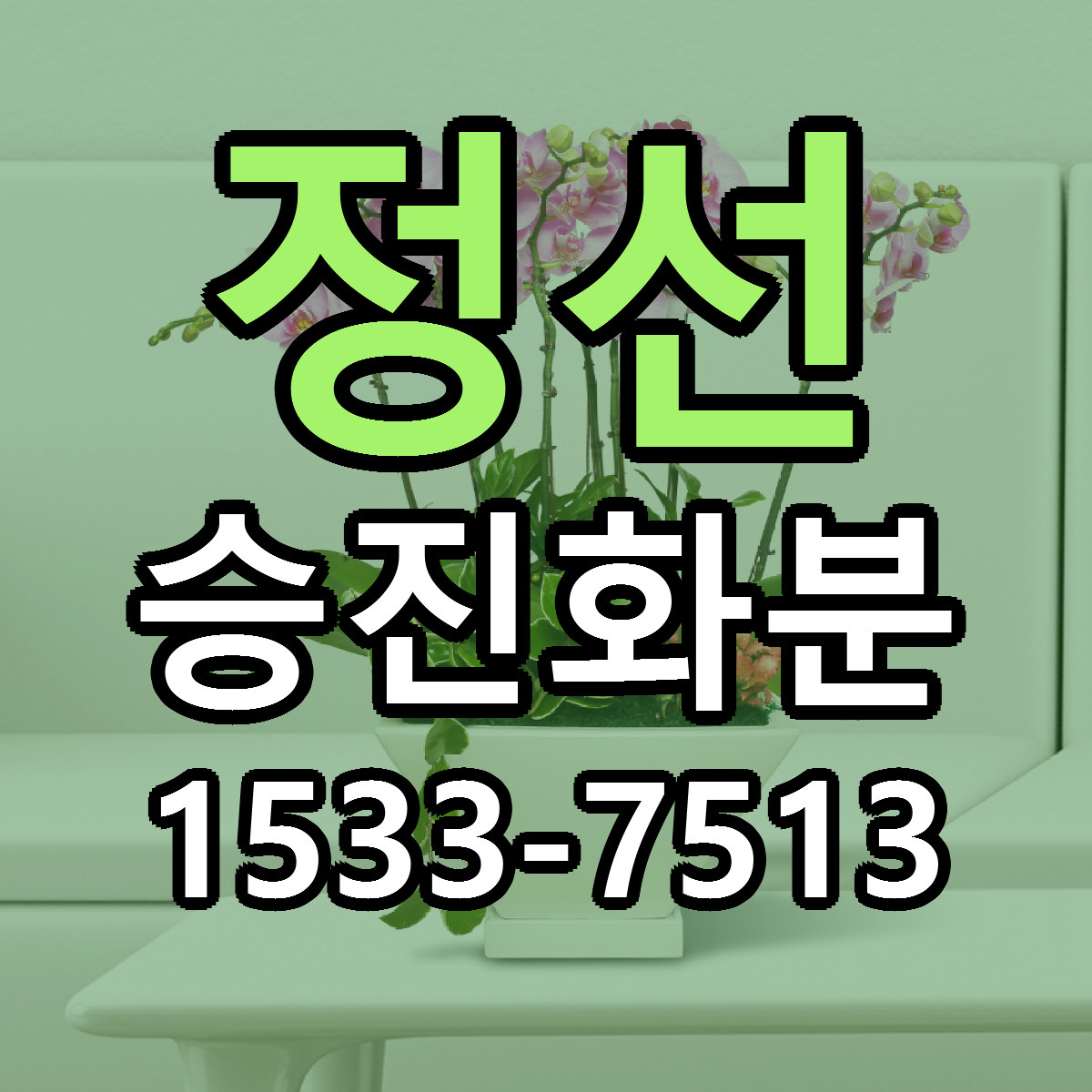 정선 승진화분 당일배송 리본문구 싼곳 찾기