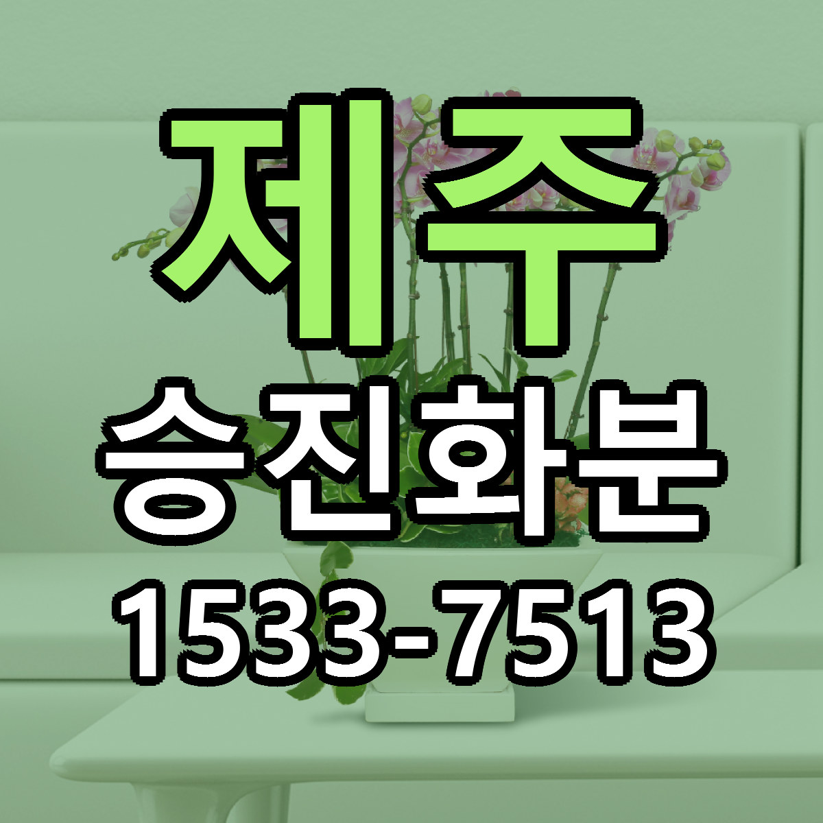 제주 승진화분 근처꽃집 저렴한곳 빠른배송 서비스