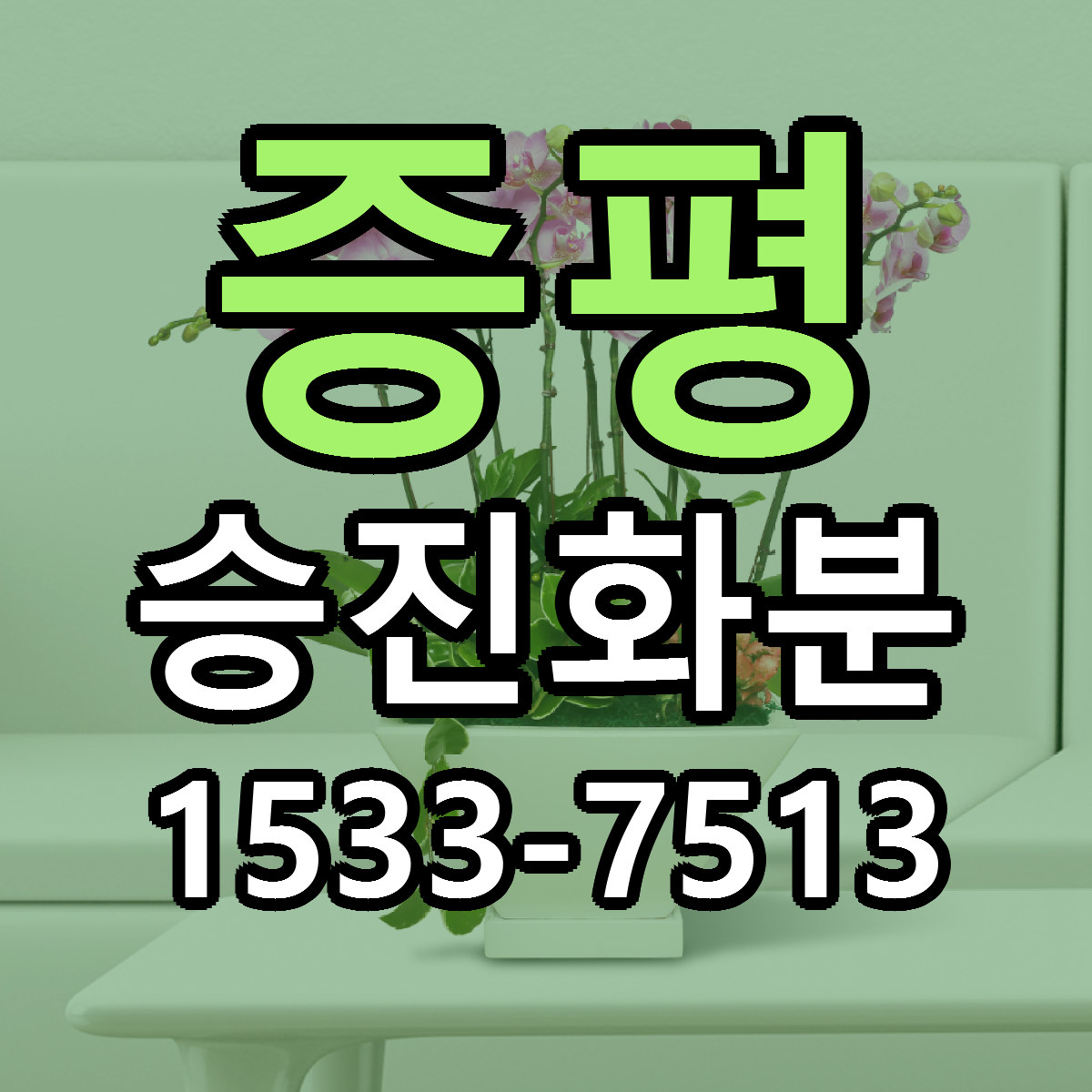 증평 승진화분 근처꽃집 싼곳 빠른배송 안내