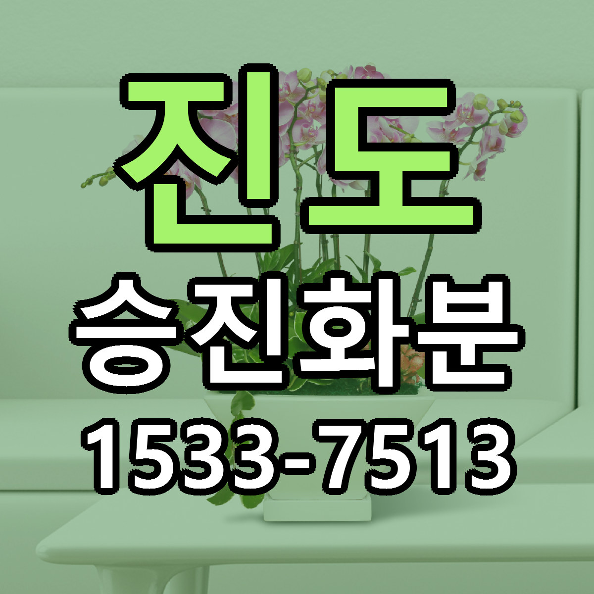 진도 승진화분 근처꽃집 저렴한곳 빠른배송 서비스